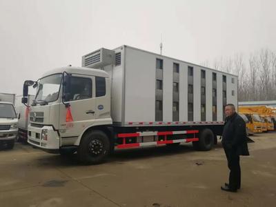 福建仔豬運輸轉運車價格實惠，優質畜禽運輸車推薦